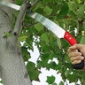 Corona Max RazorTOOTH Saw 13 in. Pruning Saw