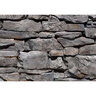 Coronado Rocky Mtn Ledge Huron Dpf (12.55 sq. ft./box)