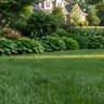 Country Club MD Fertilizer 12-0-24 Elite 65% Meth-Ex 1.6%Fe 0.5%Mg 0.5%Mn 40 lb. (QGCY)