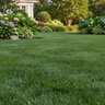 Country Club MD Fertilizer 18-3-18 Elite 78% Meth-Ex 1.5%Fe 0.65%Mg 0.5%Mn 40 lb. (QGCY)