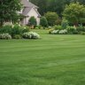 Lebanon Country Club MD 18-3-18 68% MethX 1.5 Fe 0.5 Mg 0.5 Mn Turfgrass Elite Granular Fertilizer 40 lb. Bag (CA only) (QGCY)