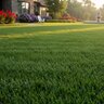 Lebanon Country Club 27-0-5 64% MESA Turfgrass Mini Granular Fertilizer 50 lb. Bag