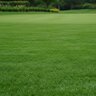 Lebanon Country Club IV 17-0-17 1% Fe 0.5% Mn SOP Turfgrass Elite Granular Fertilizer 40 lb. Bag (QGCY)