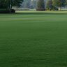 Lebanon Country Club IV 0-0-25 2% Fe 2% Mg 2% Mn SOP K-Mag Turfgrass Elite Granular Fertilizer 40 lb. Bag (QGCY)