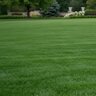 Country Club Natural Fertilizer 10-0-4 Greens Grade 93% SRN (QGCY)