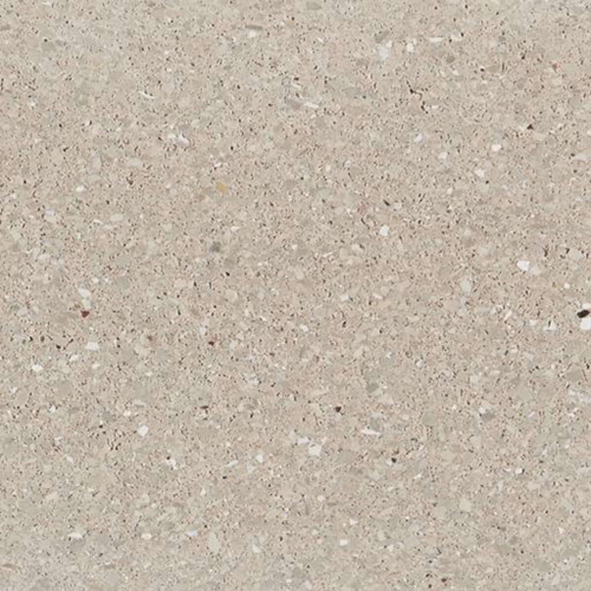 County Materials Prestige Bullnose Coping 14 in. X 24 in. Sea Salt 7 cm ...
