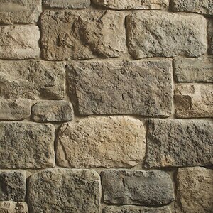 Creative Mines Orchard Limestone Corners Tortoiseshell Big Box (72 ln. ft./box)