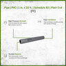 PVC Pipe 1 in. x 20 ft. Schedule 80 Plain End