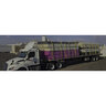 PVC Purple Reclaimed Pipe 1 1/4 in. x 20 ft. Schedule 40 Bell End