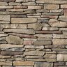 Cultured Stone Southern Ledgestone Flats Chardonnay Big Box (116 sq. ft./box)