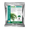 Horticultural Alliance Diehard Palm Transplant 8 oz. x 60/pail