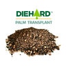 Horticultural Alliance Diehard Palm Transplant 8 oz. x 60/pail