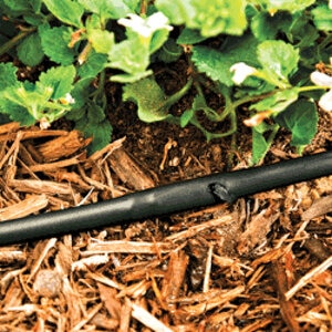 Dig 1/4 in. Black Micro Line Tubing 12 in. Spacing 100