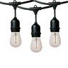Dauer Suspended String Light 50 ft. with 25 Warm White E26 Sockets, 10 Amps, 120V, Black and Clear Brass Finish, 2700K Color Temperature, 14 AWG Wire