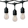 Dauer Bistro Lights Suspended String 300 ft.
