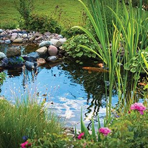 Firestone Pond Guard Liner 15 ft. X 100 ft. 45 Mil