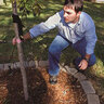 DeWitt 15 in. Long Black Tree Stake