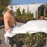 DeWitt Ultimate 2.5 oz. Plant Protection Fabric 15 ft. x 250 ft.