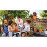 Pot Standard Terra Cotta 9.8 in.