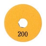 Diamond Pad 200 Grit 4 in.