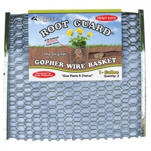 Digger's Gopher Basket 1 gal. (Set of 2)