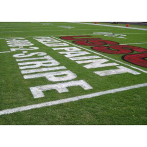 Durastripe Fat Cans 26 oz.