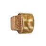 EA Gray Brass Thread Plug 1/4 in.