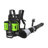 EGO Commercial 800 CFM Backpack Blower Kit with IOT (2x 10.0Ah Battery and Dual Port Charger)