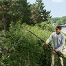 EGO 56V Commercial 21 in. Articulating Pole Hedge Trimmer (Tool Only)