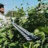EGO 56V Commercial 21 in. Articulating Pole Hedge Trimmer (Tool Only)