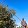 EZ Smart Fruit Picker w/ 16 ft. Pole