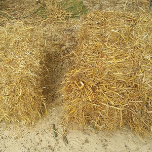 Decorative Straw Bale Half Size 12 in. x 16 in. x 23 in.