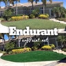 Endurant P+ (Premium) Turf Liquid Colorant 5 gal.