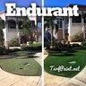 Endurant P+ (Premium) Turf Liquid Colorant 5 gal.