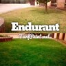 Endurant Home Lawn Blend Liquid Colorant 8 oz.