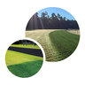 Endurant FW (Fairway) Turf Colorant 1 gal.