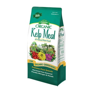 Espoma Organic Kelp Meal 1-0-2 Ornamental Granular Fertilizer 4 lb. Bag