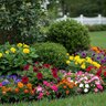 Epsoma Organic Bio-Tone Starter Plus 4-3-3 Ornamental Granular Fertilizer 18 lb. Bag