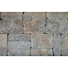 EuroBlock Tumbled Timberwood Blend (144 pc./pallet)