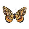 Outdoor Magnetic Glitter Monarch Butterfly in Gift Box (Set of 3)  