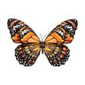 Outdoor Magnetic Glitter Monarch Butterfly in Gift Box (Set of 3)  