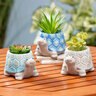 Blue Coastal Planter Turtle Ceramic 5 in.