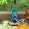 Palm Beach Hummingbird Feeder Etched Glass