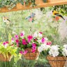 Pollinator Garden Bird Planter Hook Metal 10 in.