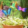 Pollinator Garden Glow in the Dark Metal Butterfly/DragonFly/Hummingbird Stake 28 in.