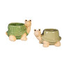 Palm Beach Planter Ceramic Turtle
