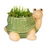 Palm Beach Planter Ceramic Turtle