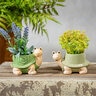 Palm Beach Planter Ceramic Turtle