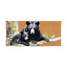Evergreen Sassafras Switch Door Mat High Country Bear Family Flocked 22 in. x 10 in.