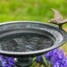 Evergreen Birdbath w/ Pedestal Hummingbirds Cast Aluminum 14-1/4 in. x 14-1/4 in. x 37-1/2 in.